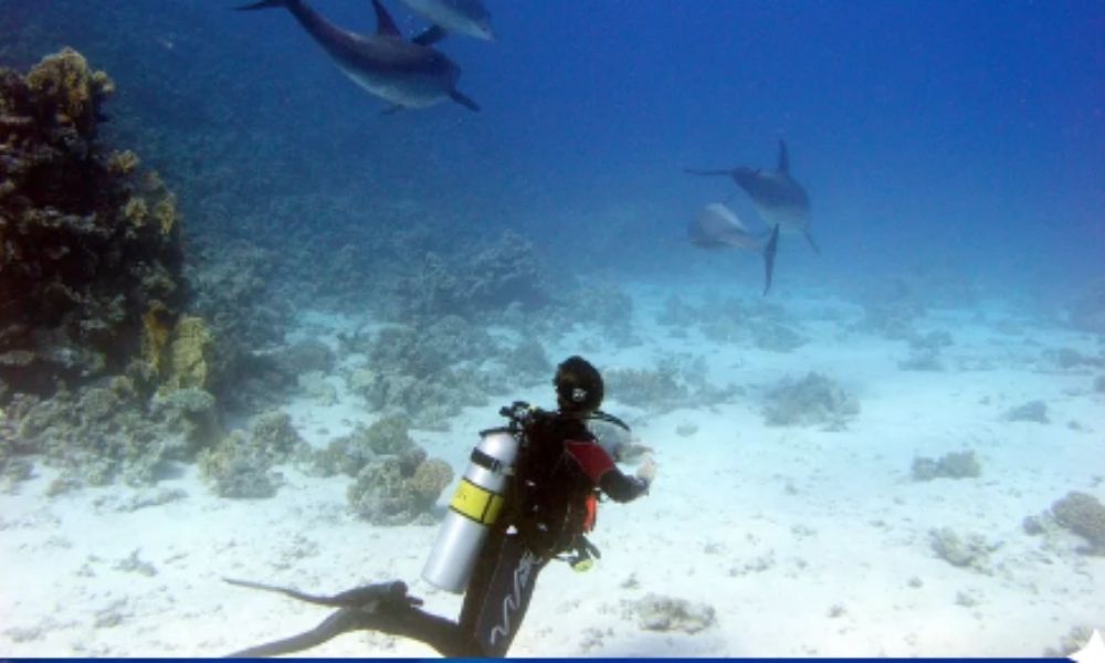Hurghada 6