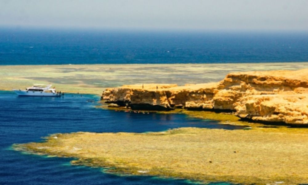 Sharm 7