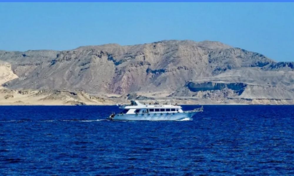 Sharm 8