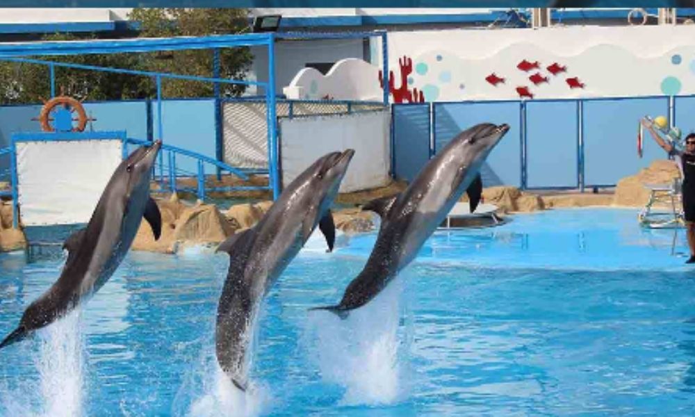 Hurghada 9